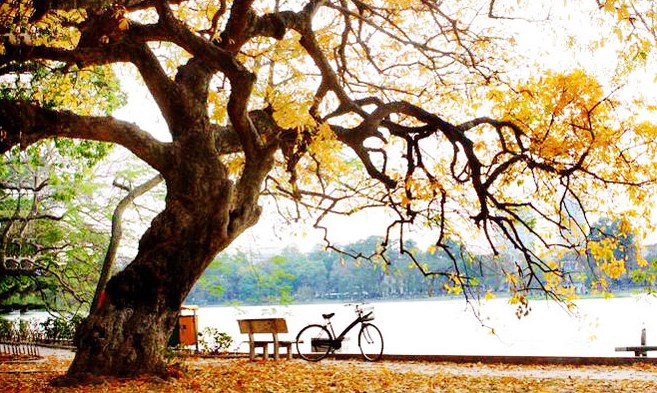 Mùa thu (bài đọc hiểu tiếng Việt lớp 5 - đề số 1)